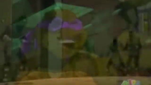 TMNT Donatello - My Happy Ending