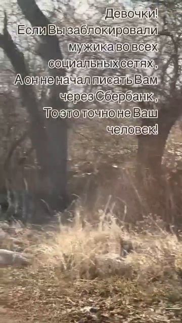 девочки, если