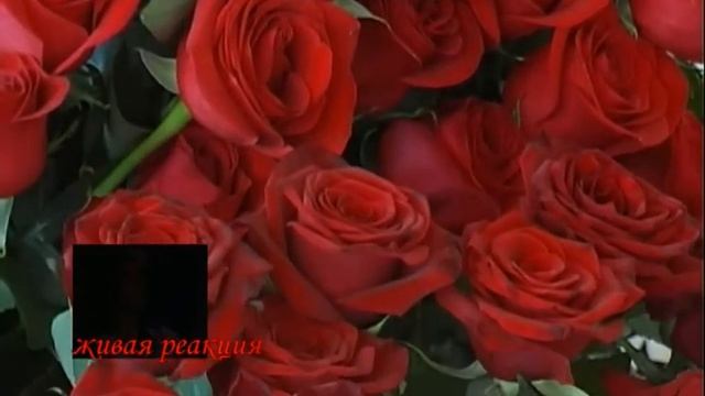 Грандиозное предложение руки и сердца