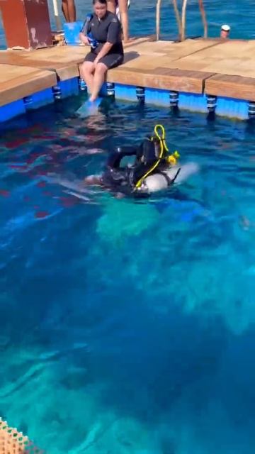 Time to dive. Egypt. Red sea. Sierra hotel