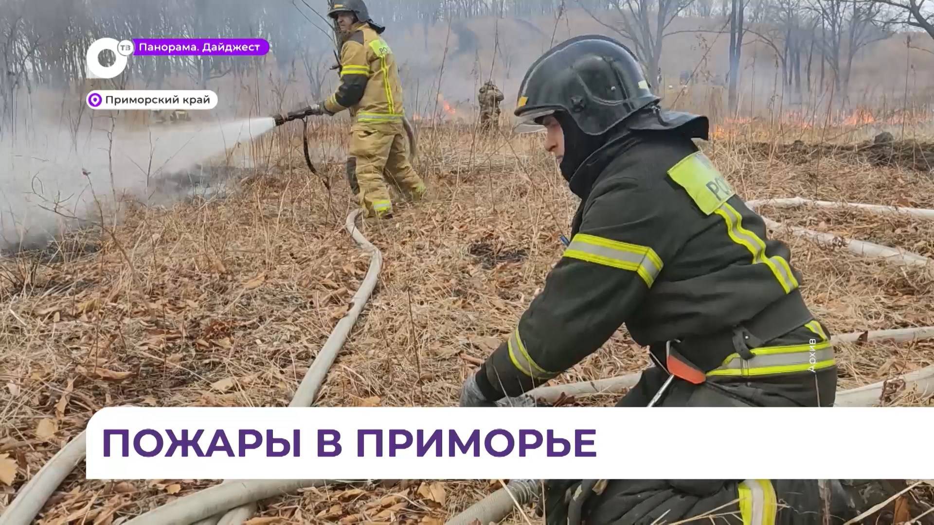 В Приморье за последние сутки зафиксировано девять возгораний площадью почти 900 гектаров