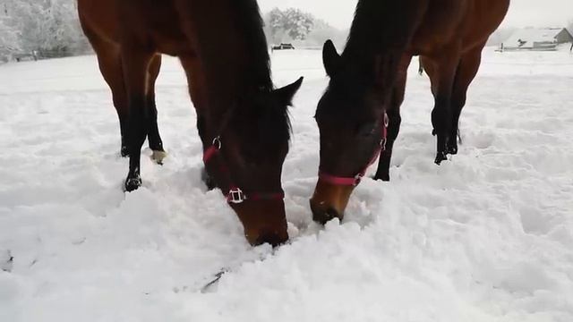 Спокойная Музыка Для Снятия Стресса