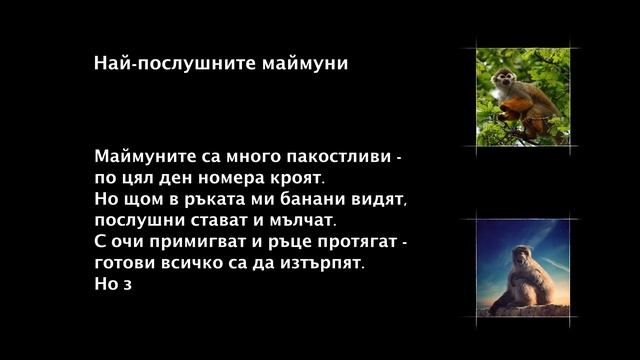 Аз чета: Най-послушните маймуни