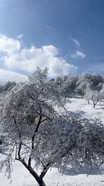 Это не швейцарския а Табасаран «село Гасик"