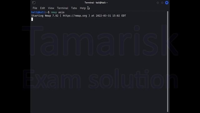 60.Tamarisk-WEB200-ATP_02_02-Basic Host Enumeration and OS Detection