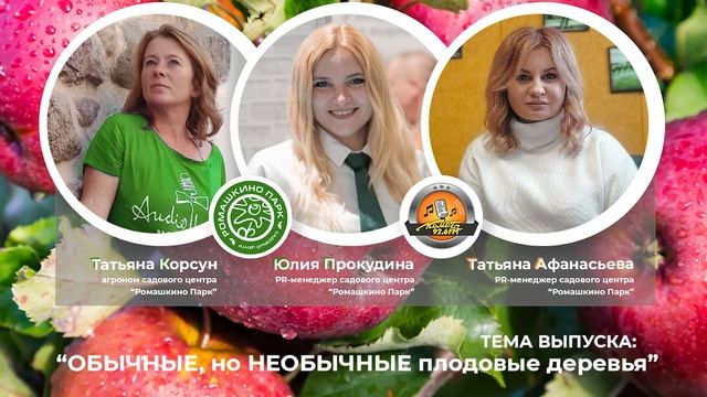 Про необычные яблони в эфире радио Комета