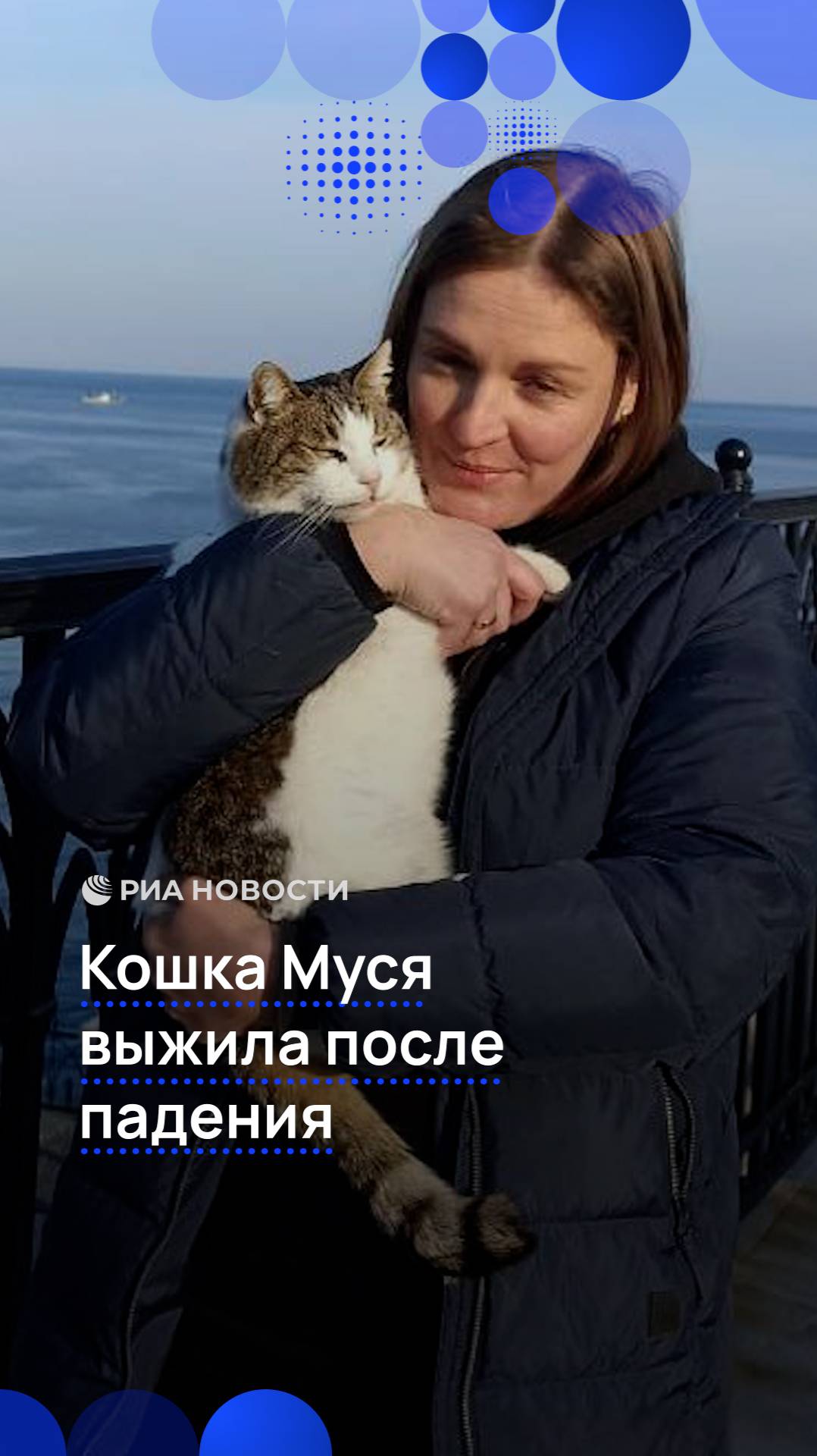 Кошка Муся выжила после падения