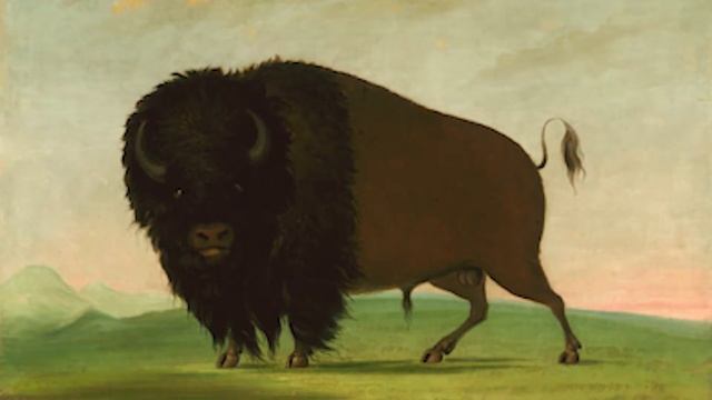 George Catlin
