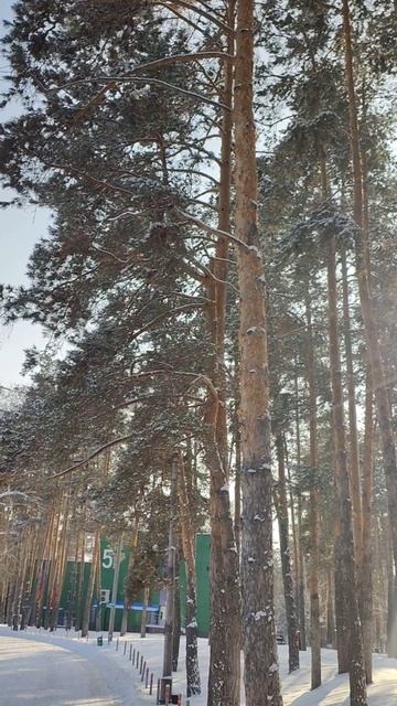 Прогулка по лесу.Загородный комплекс Циолковский.