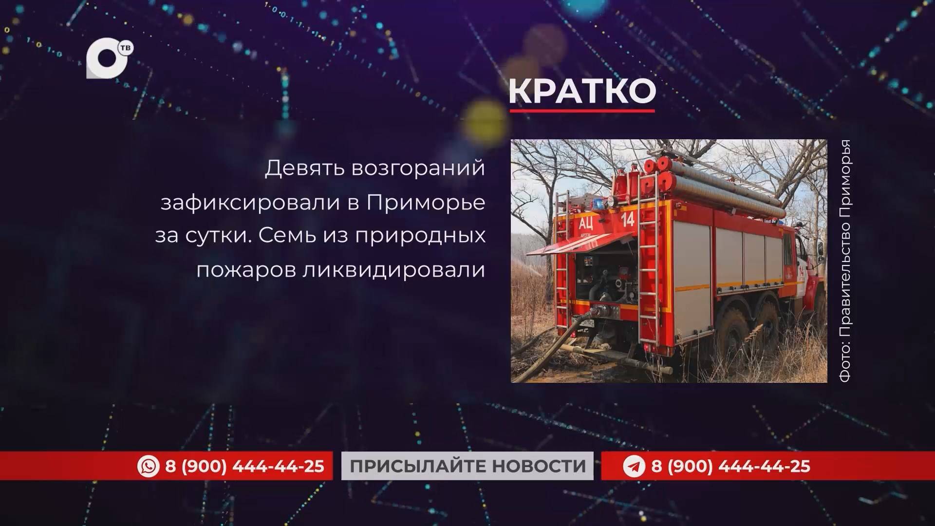 Кратко / 25.02.25 / Вечер