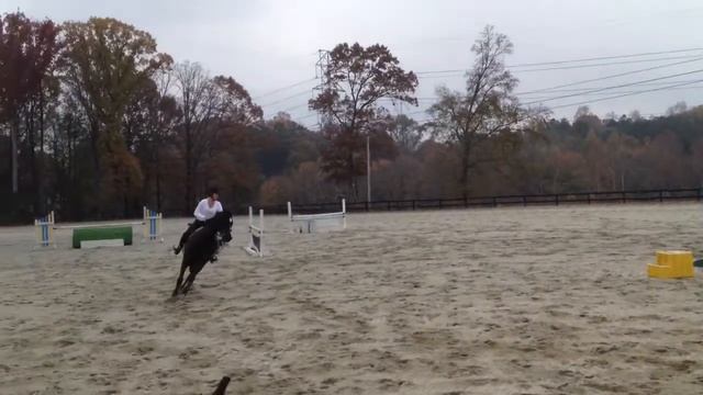 Lindsey Toothman with her new horse Donatello #2