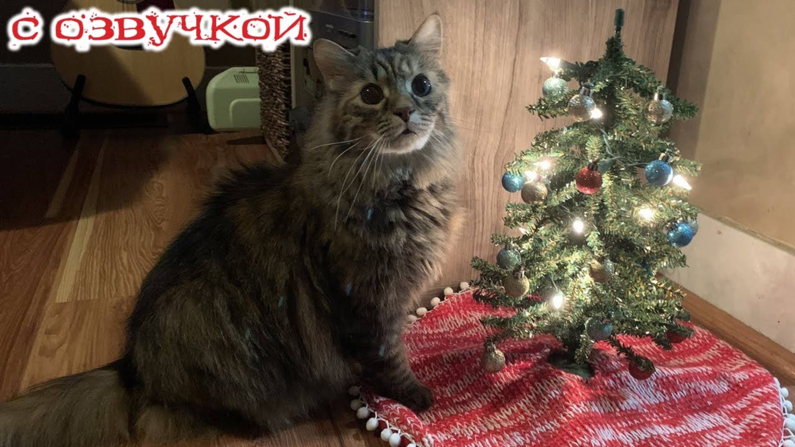 Приколы с котами! НОВОГОДНЯЯ ОЗВУЧКА! Самые смешные животные! СМЕШНЫЕ КОТЫ И СОБАКИ!