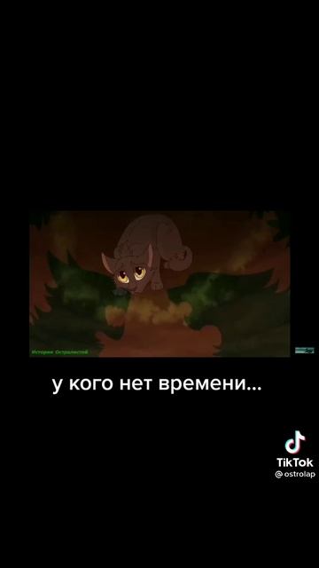 коты-воители