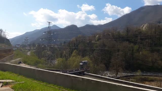 В горах Красной поляны зеленеет листва.