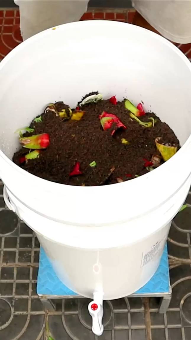 🌿Как приготовить компост из кухонных отходов в домашних условиях! #shorts #garden #советы