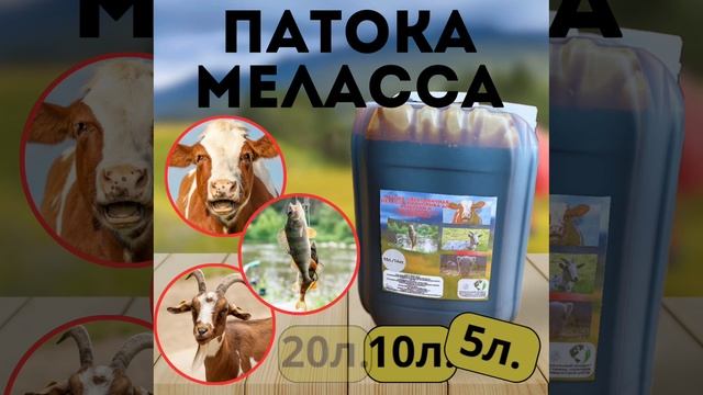 Меласса свекловичная (патока)25-02-2025