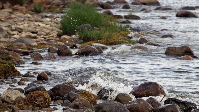 Рыбалка на реке морье с друзьями.