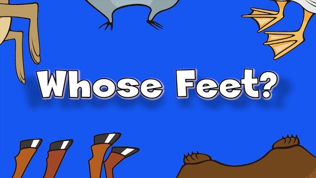 Whose Feet؟ ¦ Learn Animals Song for Kids