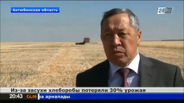 Из-за засухи хлеборобы потеряли 30% урожая на западе Казахстана