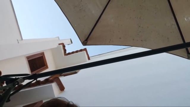 Что Там Опять В Китае? Чумы Только Не Хватало...