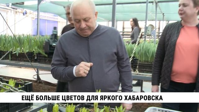 Ещё больше цветов для яркого Хабаровска