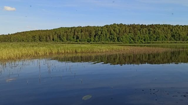 Оредеж теперь несудоходна!