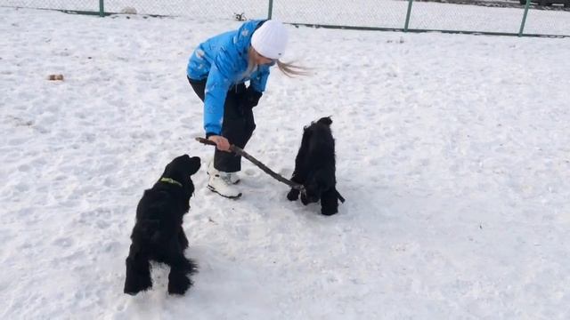 Мама и сын Буян! Черная Дженни