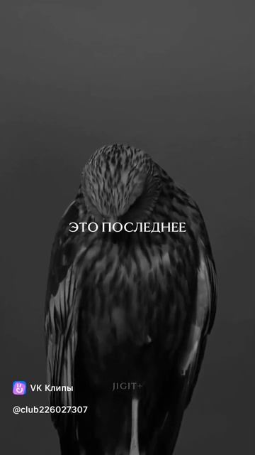 смысл жизни