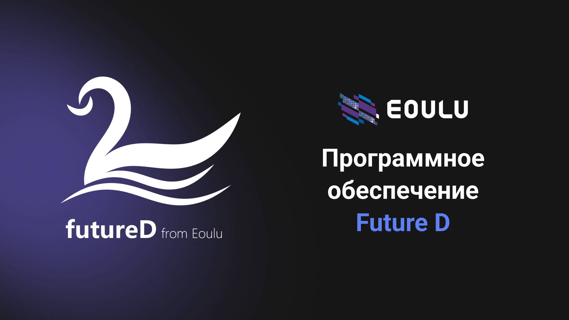 Future D_Программное обеспечение