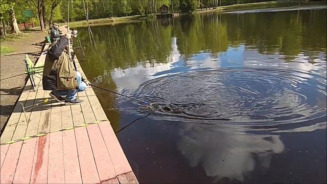 Небольшой обзор с нижнего водоёма и спорт-зоны. Клёвое место. Лосиный остров.