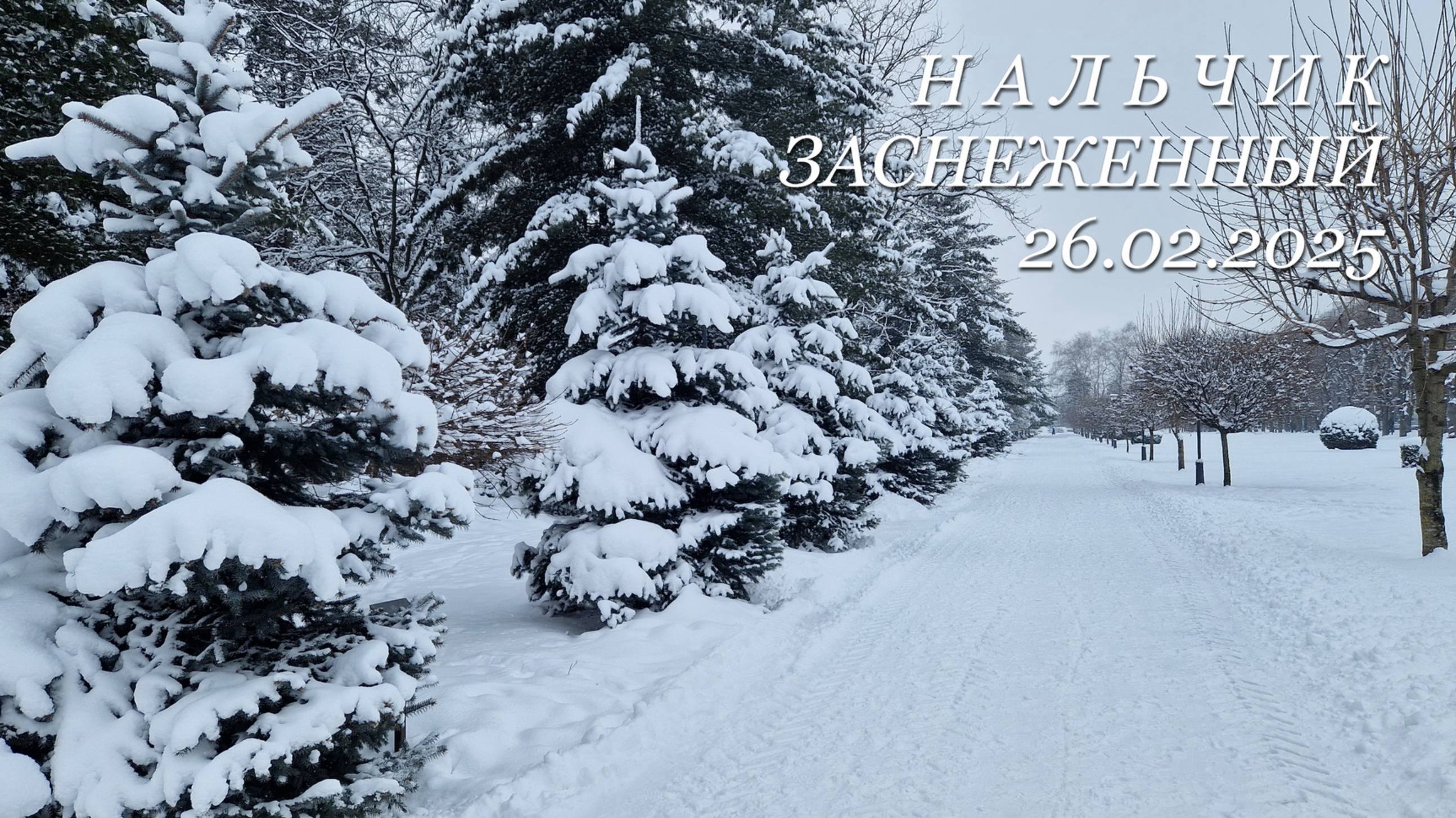 Нальчик заснеженный, 26.02.2025г.