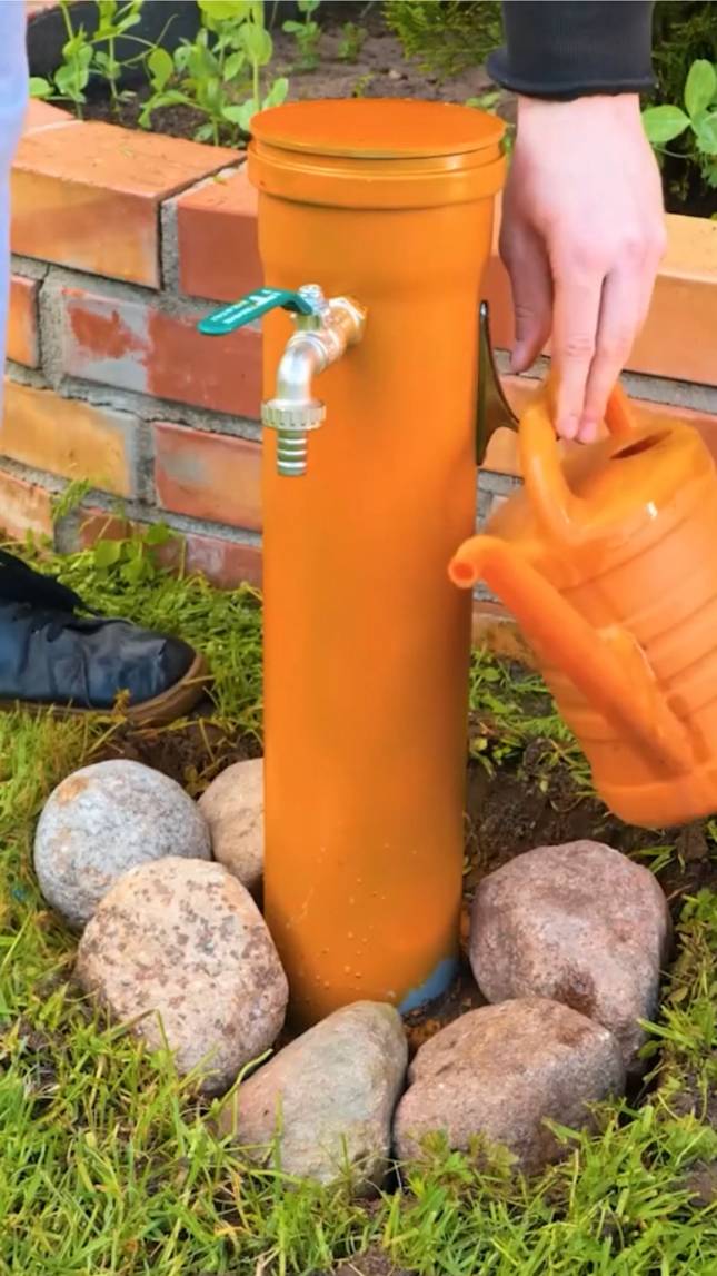 💦Супер милые советы по садоводству, которые вы можете попробовать! #shorts #garden #советы