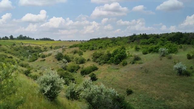 Одесская область, Одесса Украина. Природа.