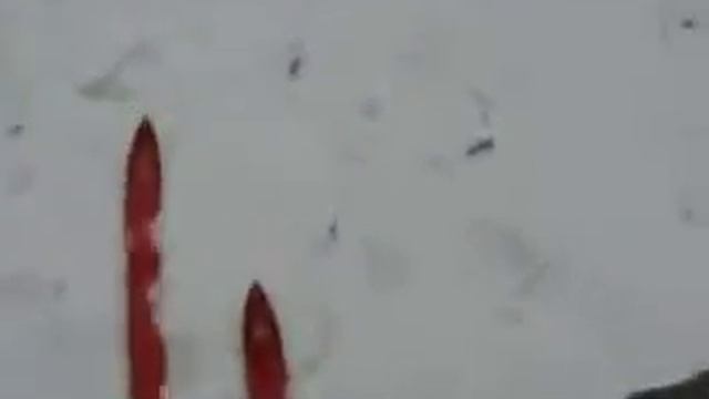 По целине