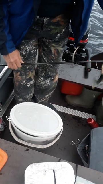 Лицо довольного рыбака :)