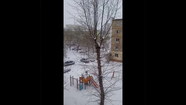 метель 🌨️