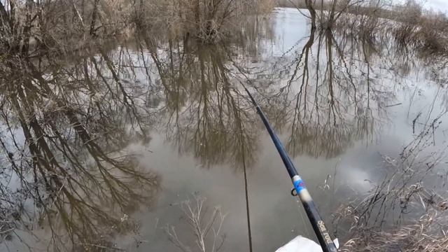 РЫБАЛКА НА ДОНКУ И ПОПЛАВОЧНУЮ УДОЧКУ НА ЦНЕ