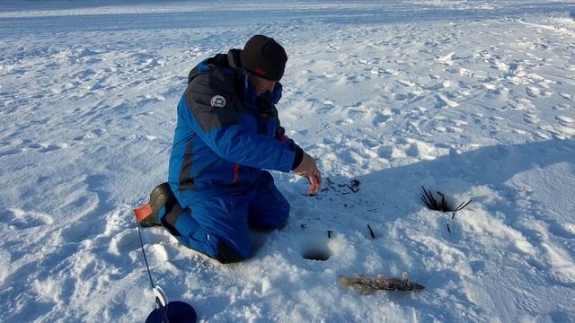 Ох и побегали за жерлицами!!!🔥🎣🎣🎣