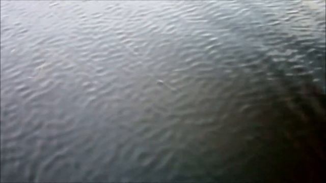 Клип Август