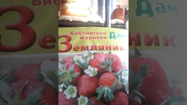 Календарь работ на землянике. Июнь, июль.