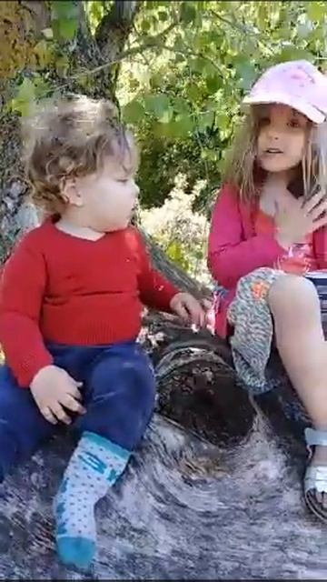 Детки на ветке, бабушка в сторонке, а у внуков чипсы, один пакет на двоих Когда остатки сладки