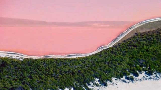 Amazing miracle Pink Lake in Australia