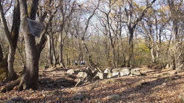 Татарское городище