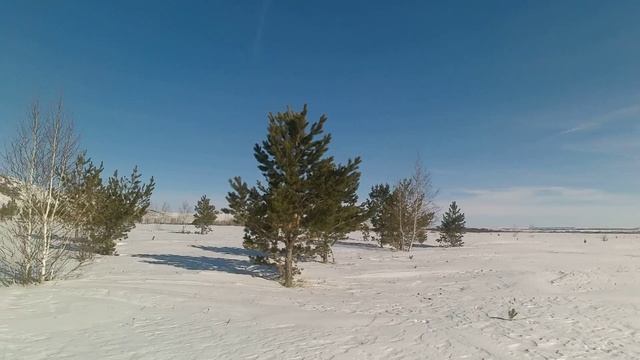 Охота на хитрого зайца