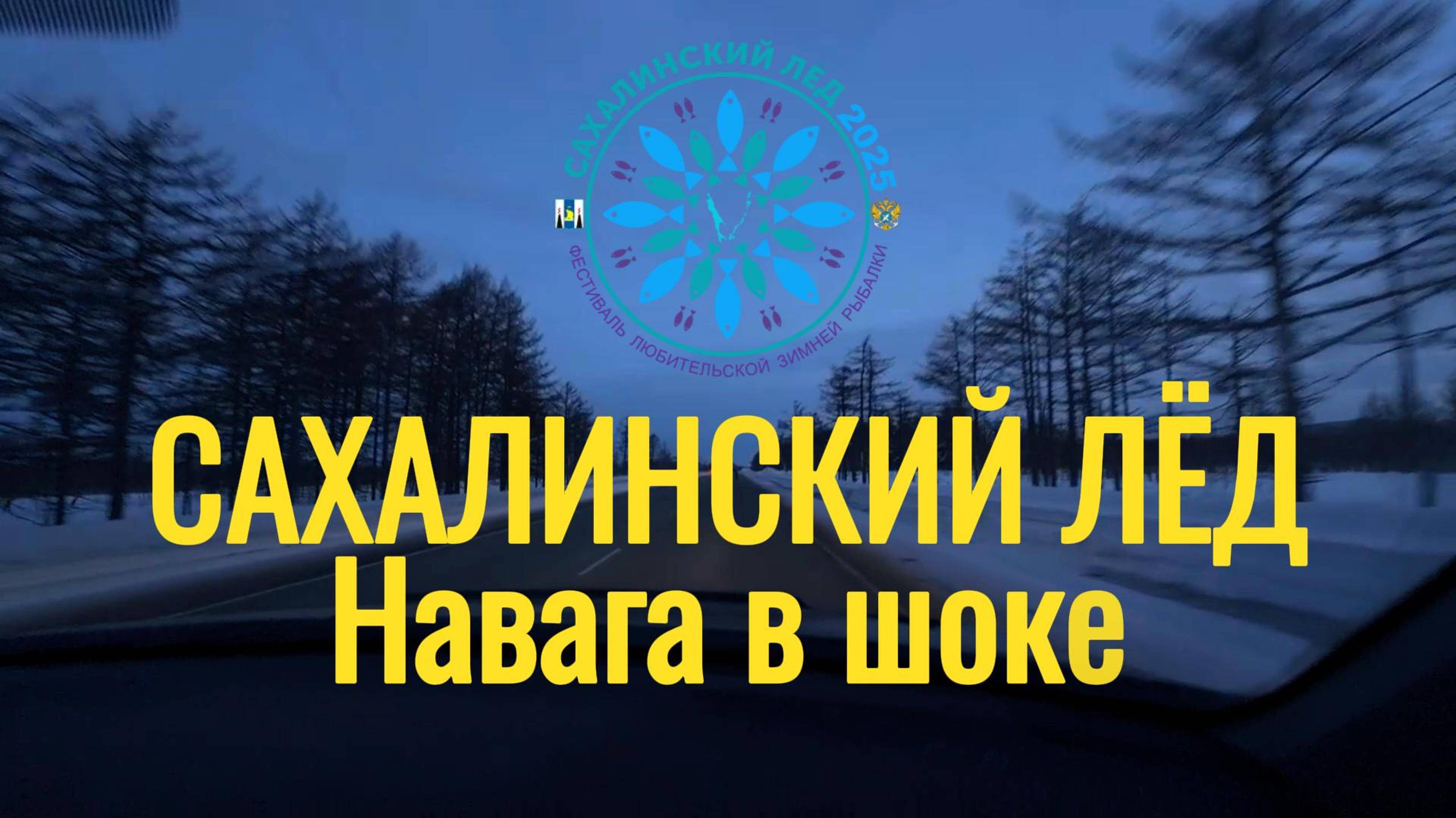 Сахалинский лёд. Навага в шоке.