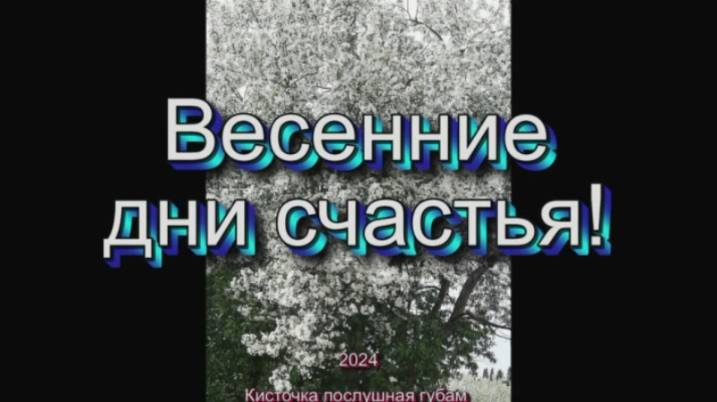 Весенние дни счастья - 2024