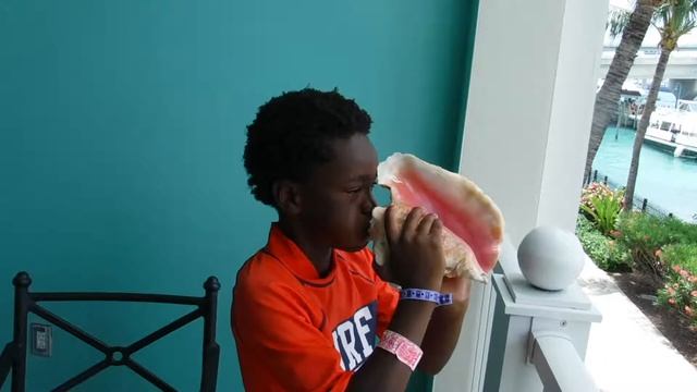 The Dolphin Whisperer 2: The Legend of the Conch Horn