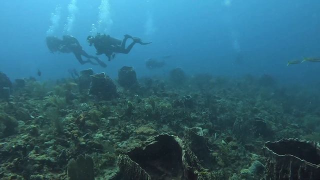 West Palm Beach Group Dive with friends from Ohio, New York & Beyond