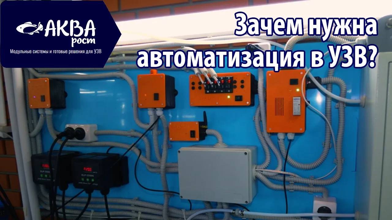 Зачем нужна автоматизация в УЗВ