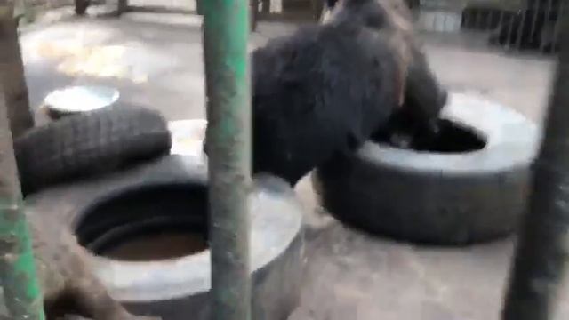 Каждодневное переселение для уборки